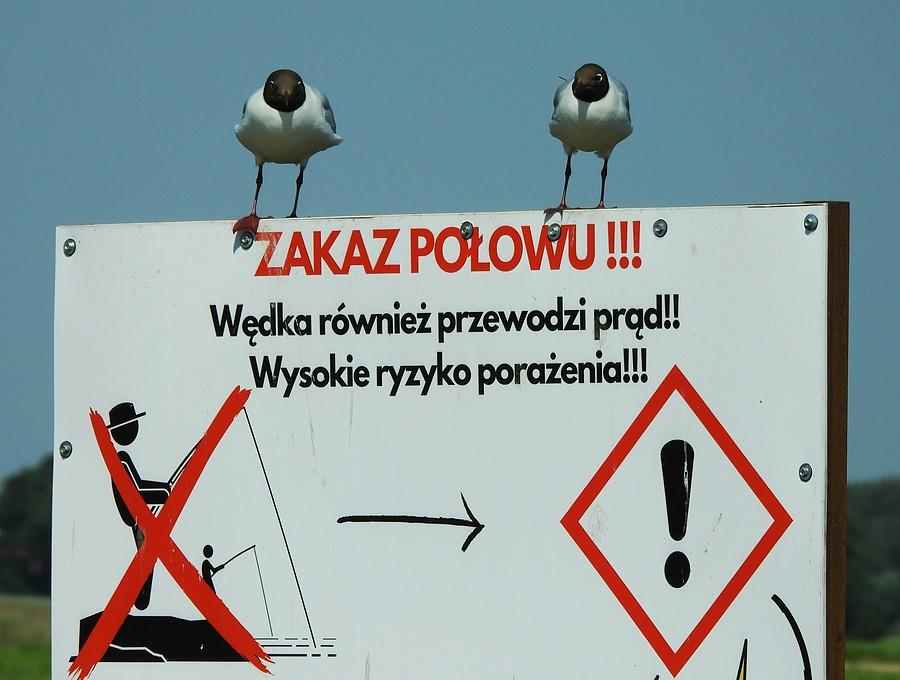 Śmieszkowy monitoring :)