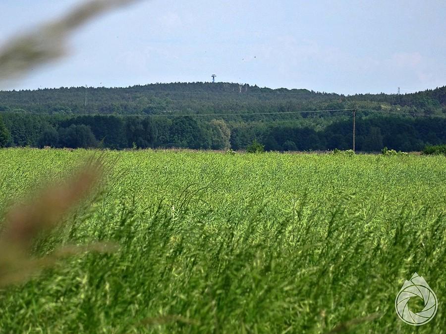 jakas góra koło Zielonej (Góry)
