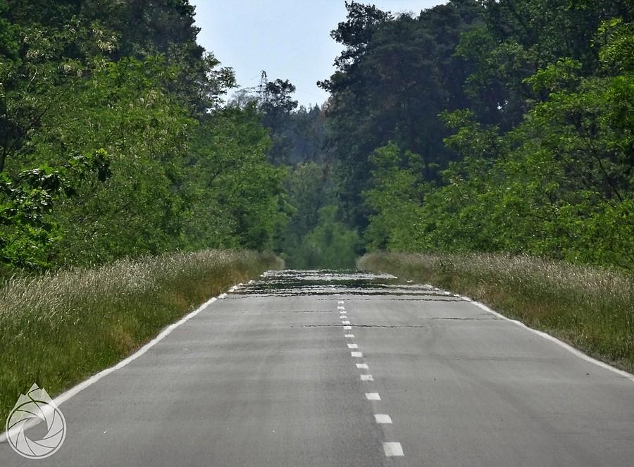 fatamorganowe proste z Rzepina