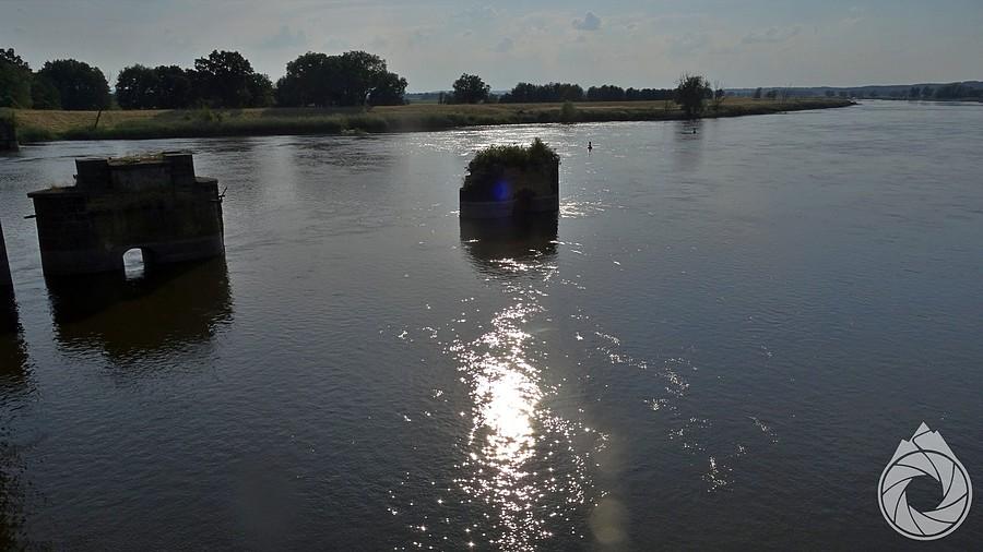 podwieczorna Odra