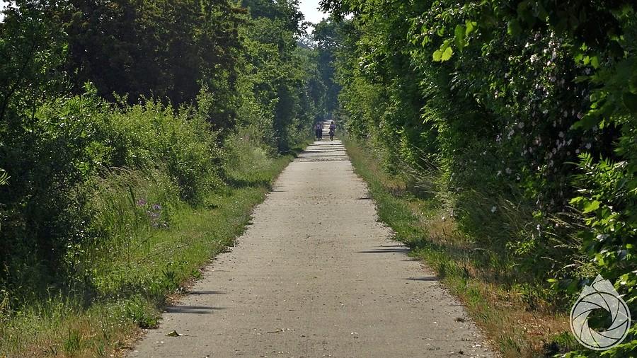 dłuuuugie proste na Siekierki