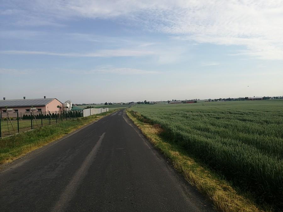 Na odludziu.