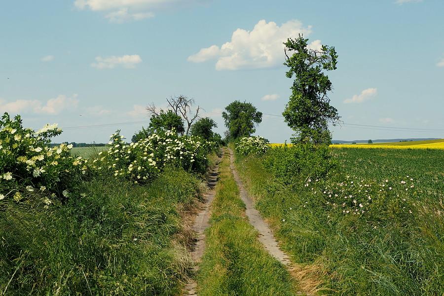 Sielsko i leniwie