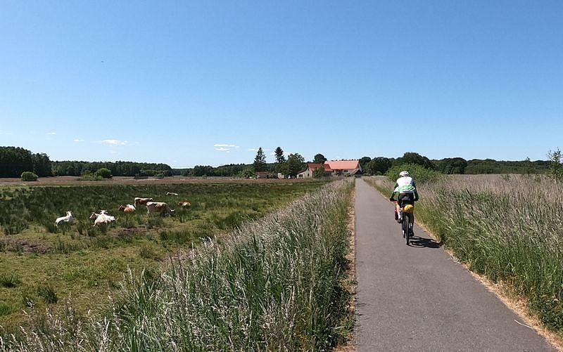 Jak i takie fajne ścieżki rowerowe z dala od aut