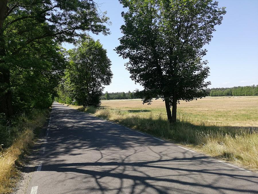 Wiatr zdecydował, że dziś jedziemy na Konin.