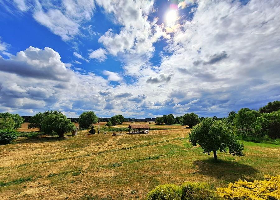 Widok z tarasu agro w Radzewicach