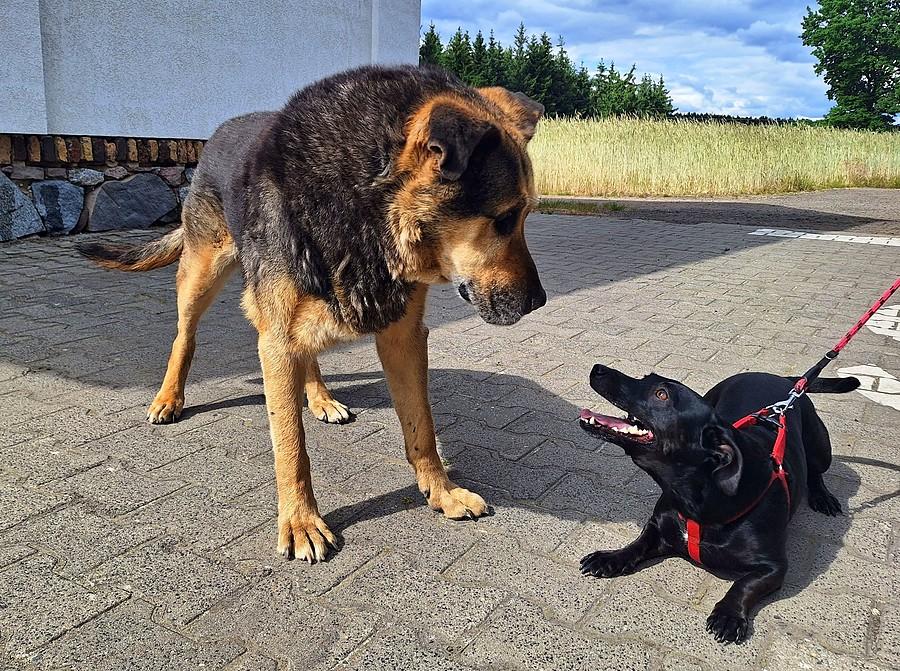 Warto się zobaczyć te dwa razy w roku :)