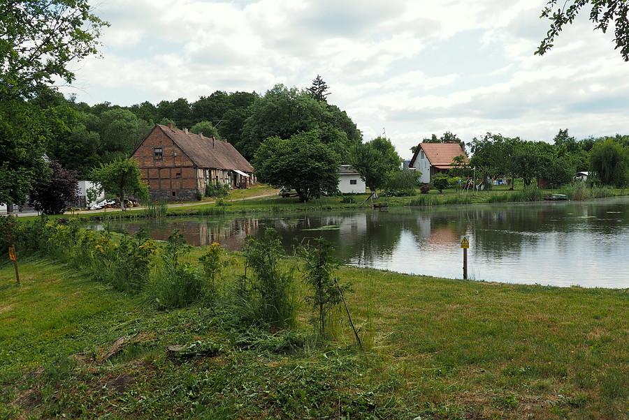 W Niepłocku