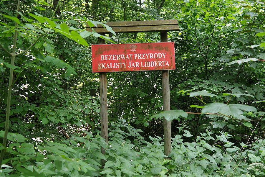 Rezerwat przyrody