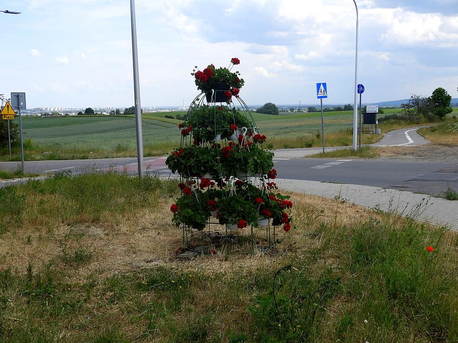 Kwietnik spod Karwowa.