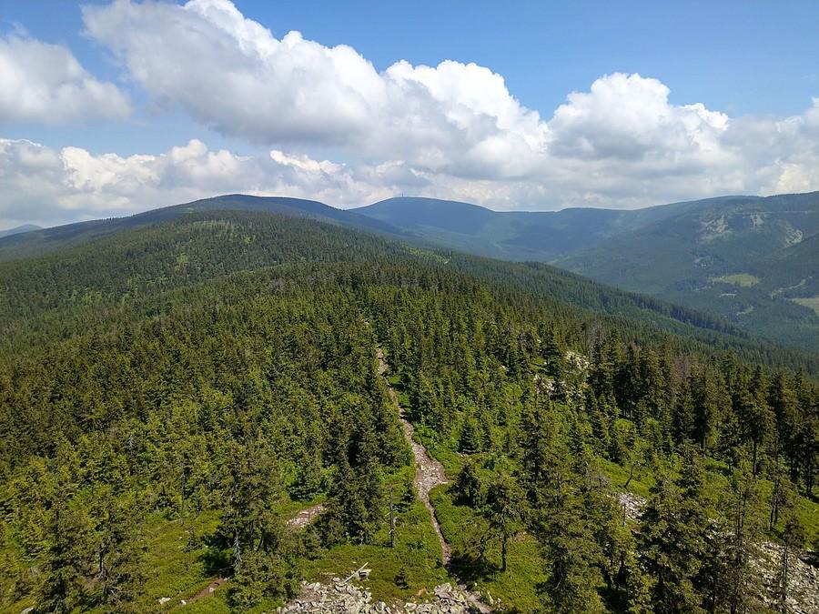 Tędy dojechaliśmy Na Trójmorski Wierch