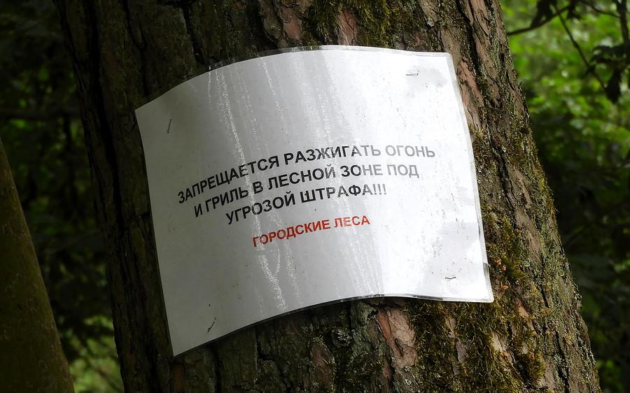 Napis na polanie za leśniczówką Białą.