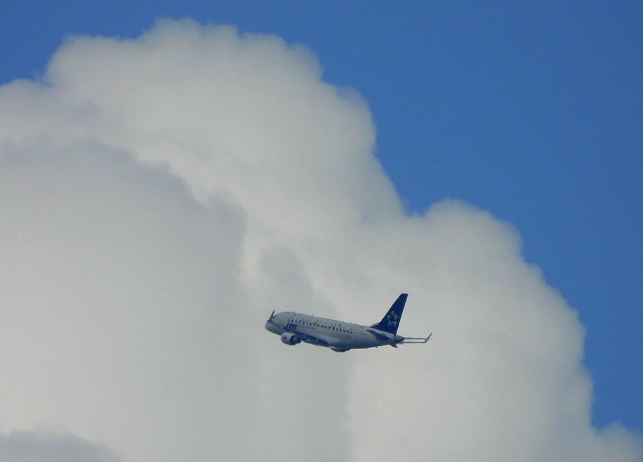 Samolot LOT-u z brandem Star Alliance