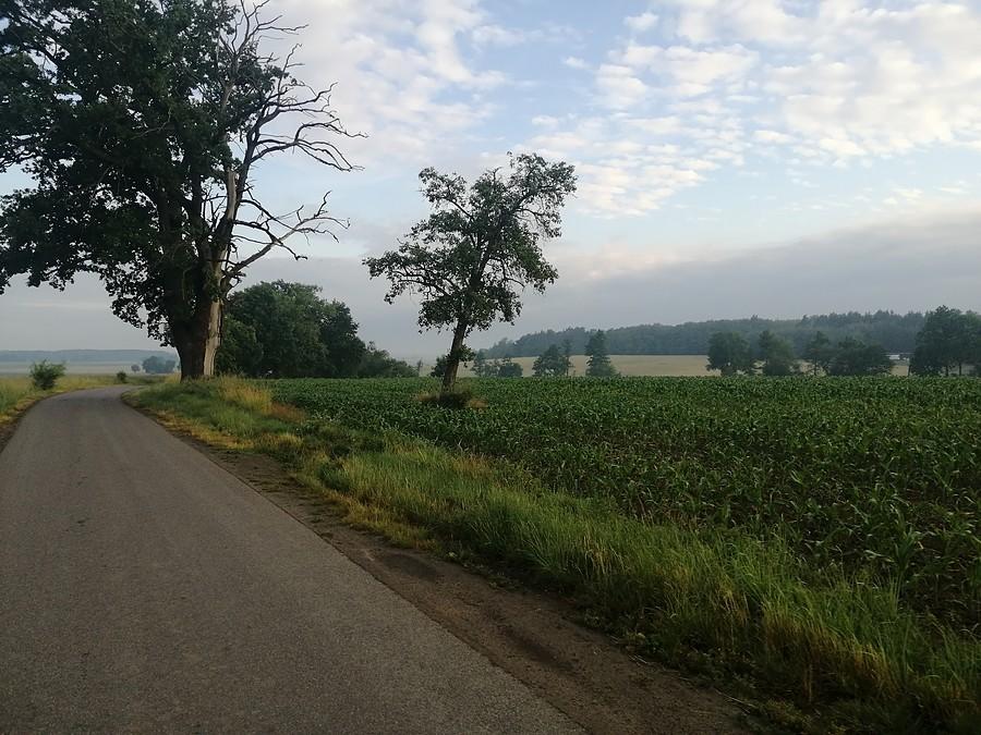 Ładne widoki w Grodzisku.