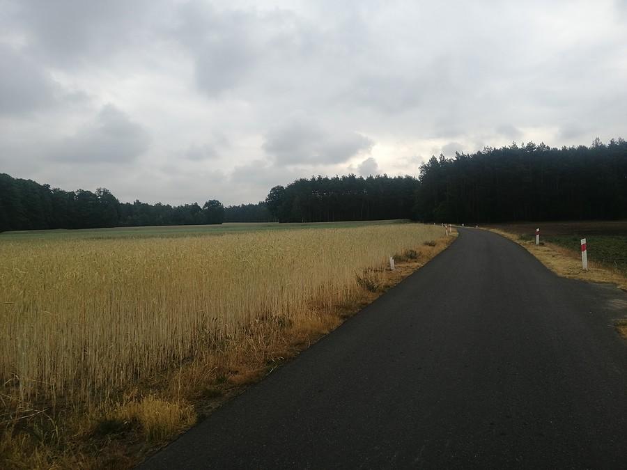 Przez Łazińsk Drugi w kierunku Zagórowa.