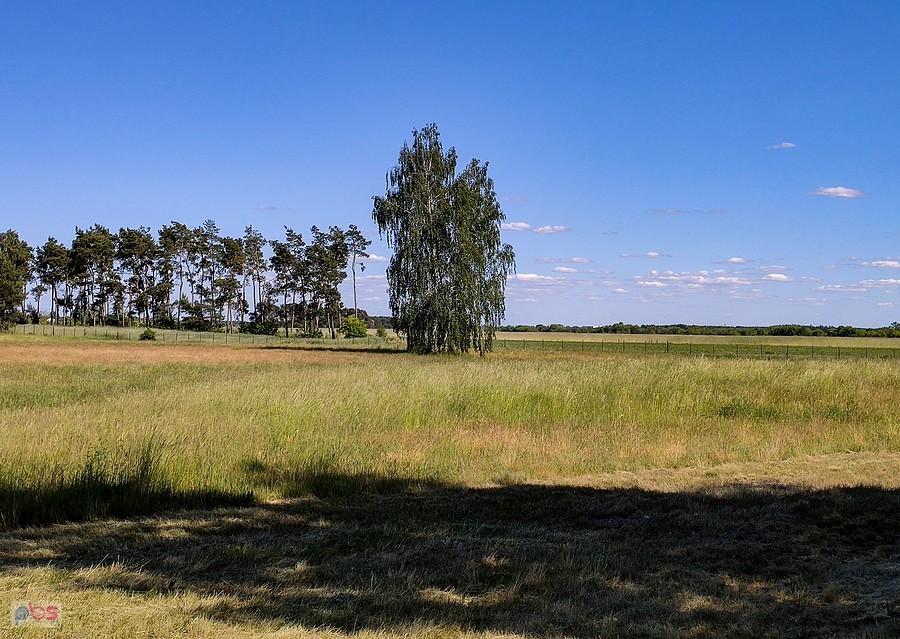 Widok ze skansenu na okoliczne pola i łąki