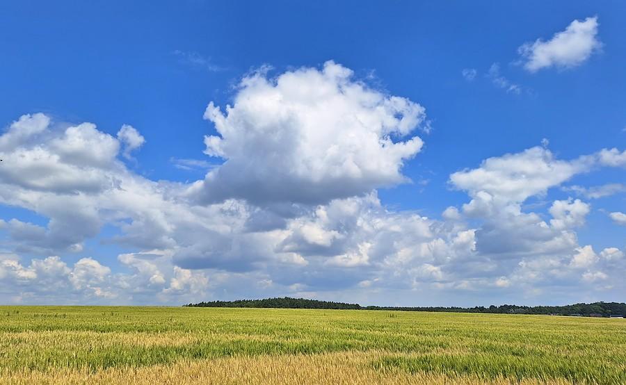 Dziki chmurkowy zachód