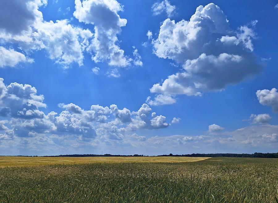 Landszaft z Trzcielina
