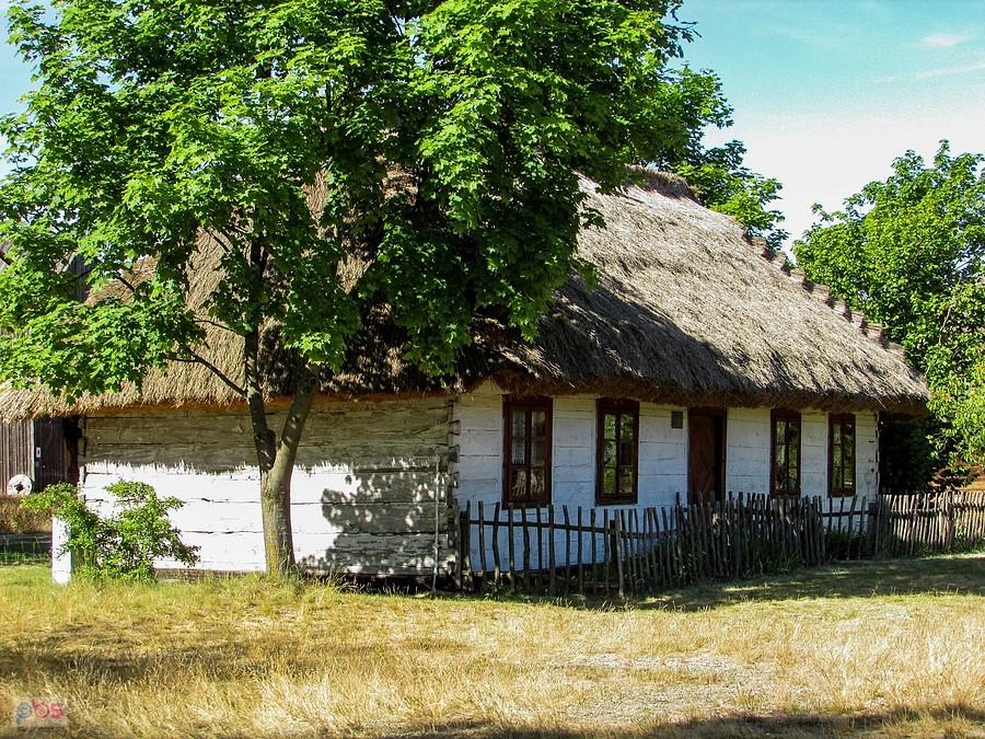 Chałupa ze Skowrody - poł. XIX wieku