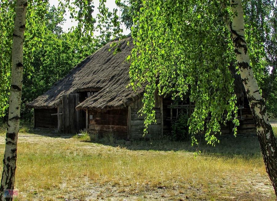 Stodoła z Wicia, pocz. XX wieku