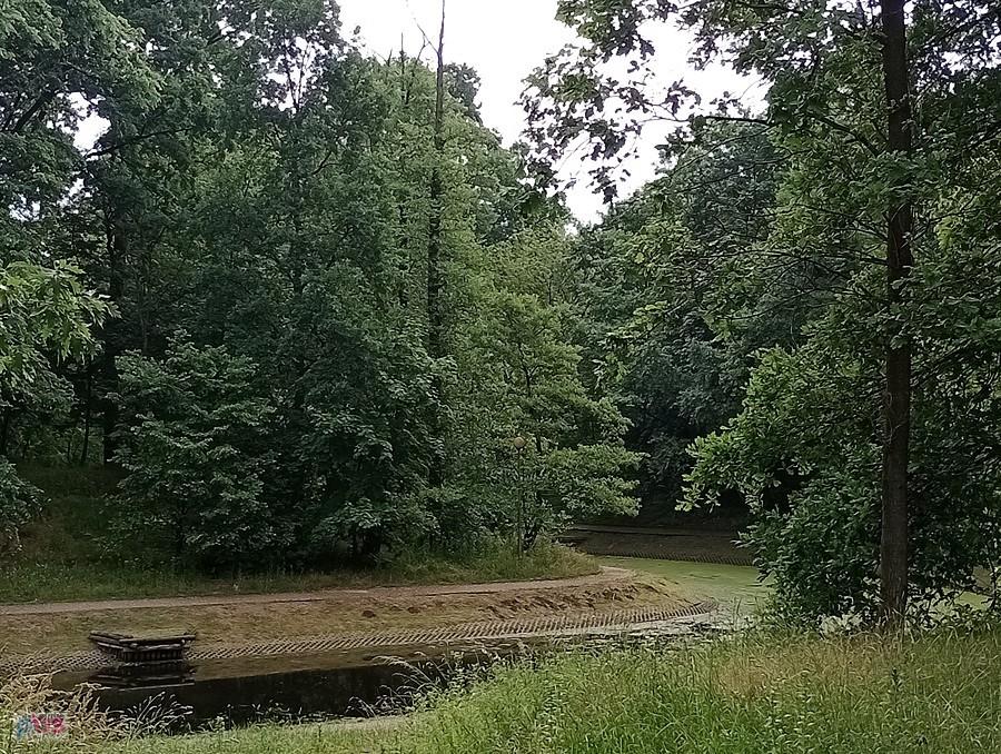 Fosa porasta rzęsą