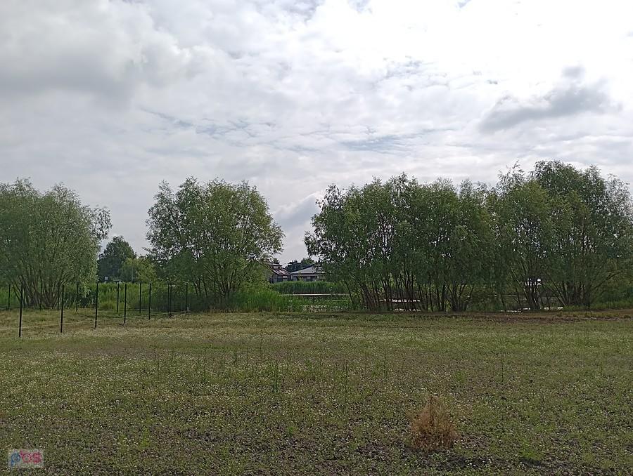 W głębi staw w Bliznem