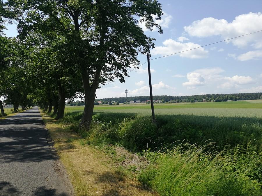 W kierunku Żerkowa, o czym świadczy charakterystyczna wieża w oddali.