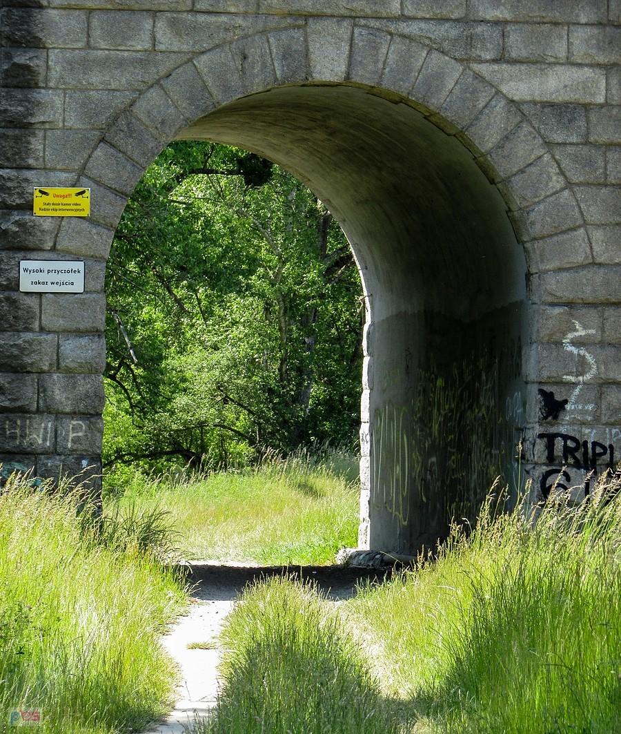 Rowerowy tunel, dla tych co lubią przejechać się wałem wiślanym