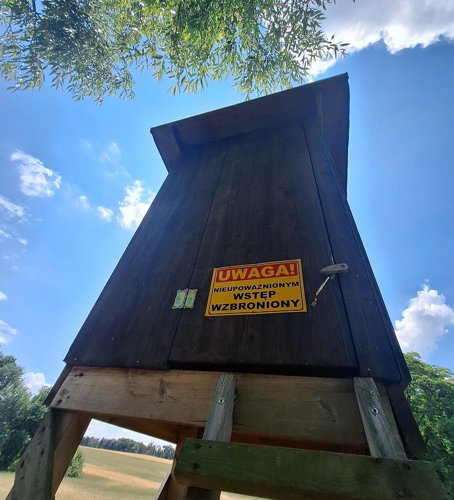 Ambona z zakazem. Zakaz olany, oczywiście :)