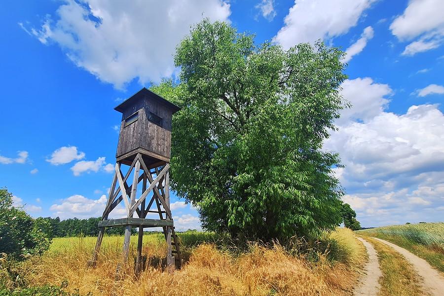 Widok na zakazaną ambonę