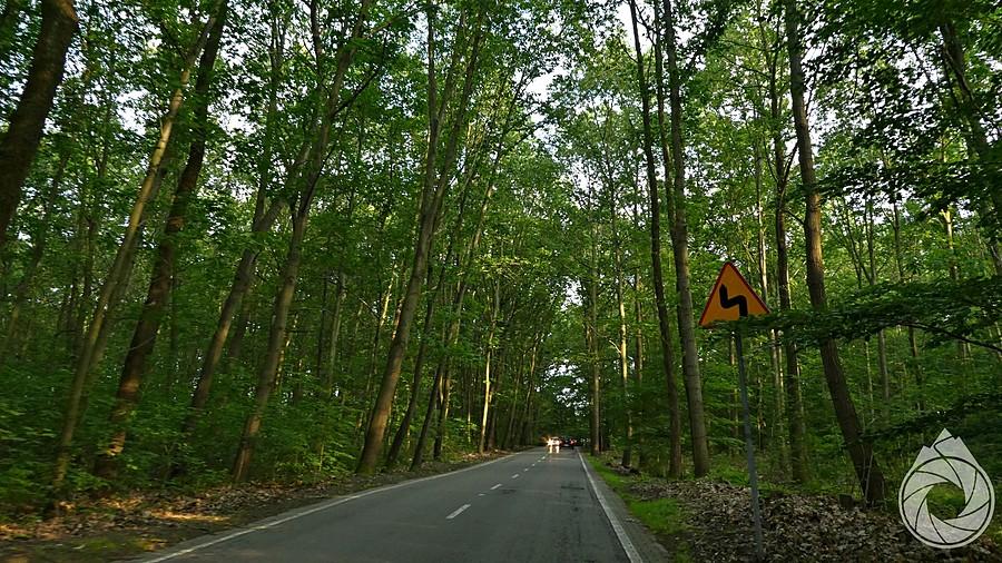 mały podjazd na Murcki, w puszczy