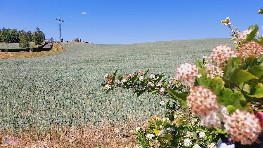 Papieska Górka w Pelplinie