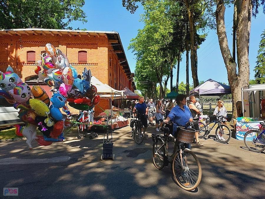 Stadnina ogierów w Starogardzie Gdańskim