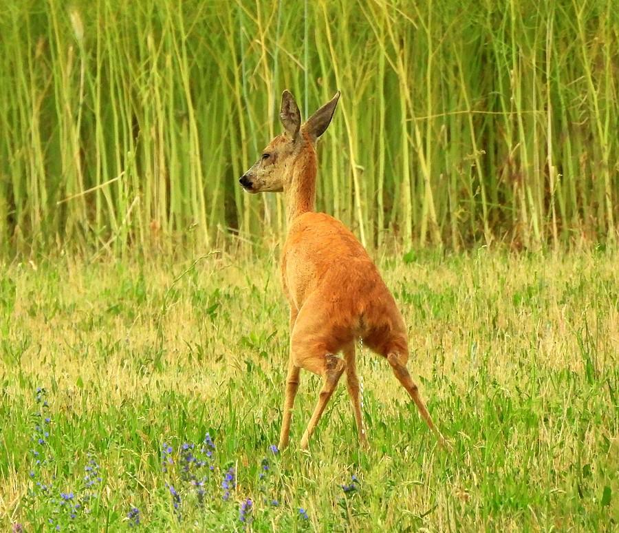 Cóż, natura... :)
