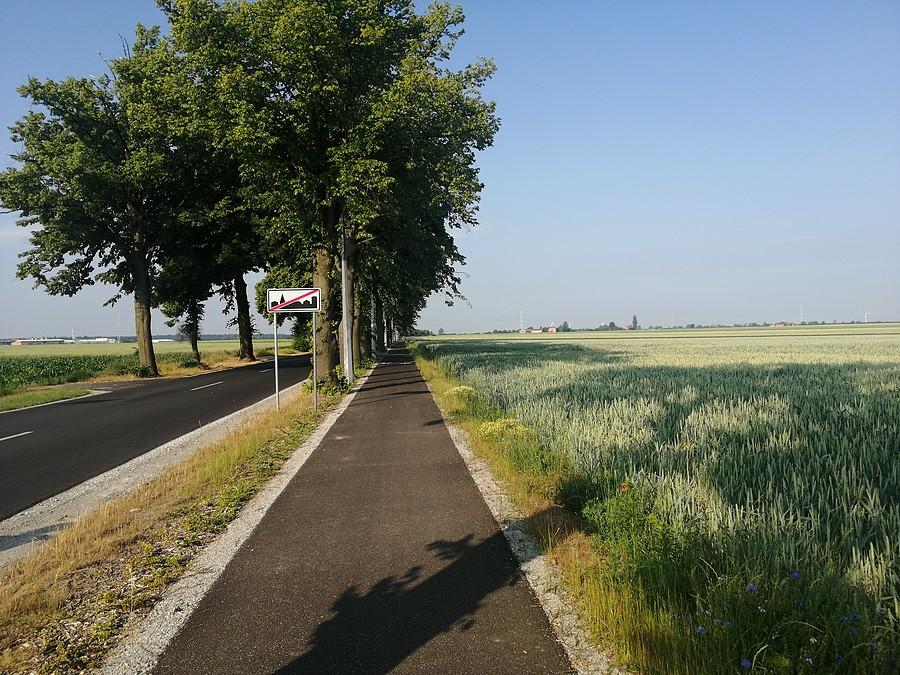 Ładna ścieżka rowerowa i świerzy asfalt na drodze za Dobrzycą w kierunku Koźmina, niestety tylko do granicy gminy.