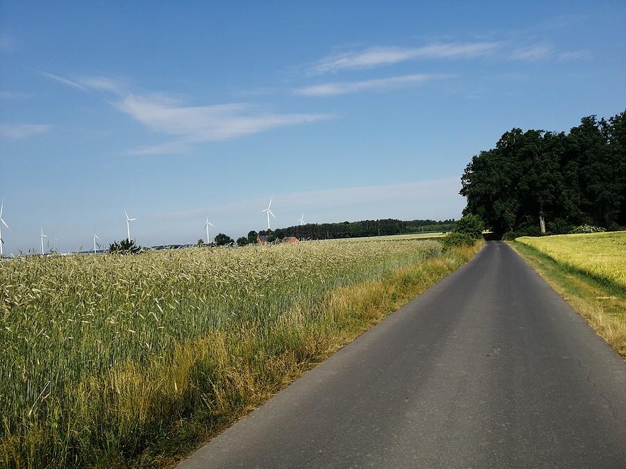 Pola wiatraków.