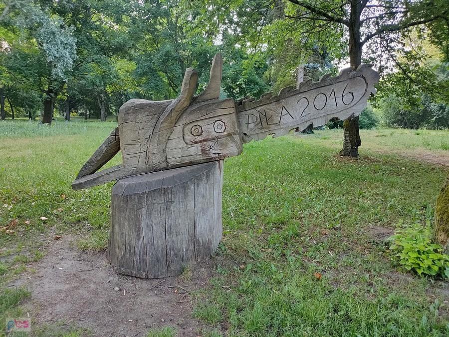 Piła w Pile