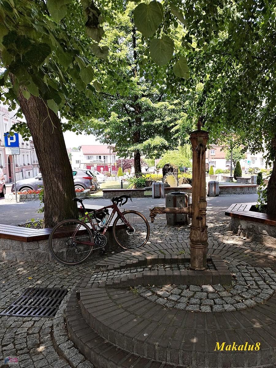Woźniki