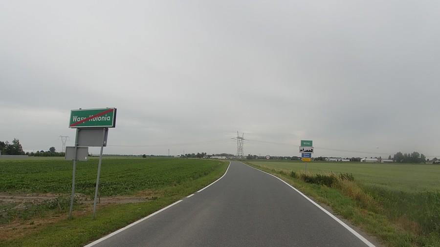 Wąsy i Witki