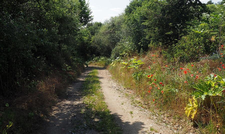 Z górki do Górek