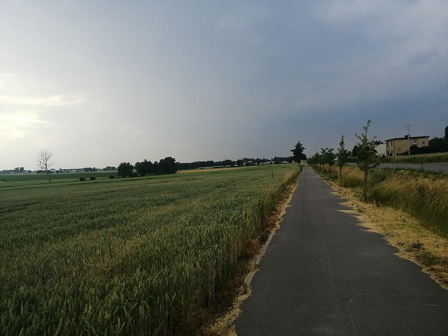 Zdążyć przed burzą.