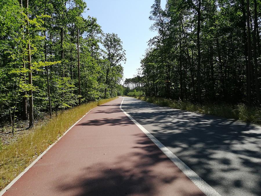 Ścieżka rowerowa prowadząca do Wilkowyji.