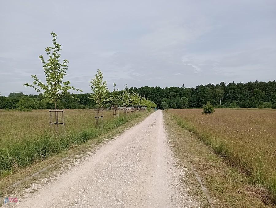 Droga z Kwirynowa do Klaudyna przez pola. Dawno tędy nie jechałam, a jest całkiem dobra