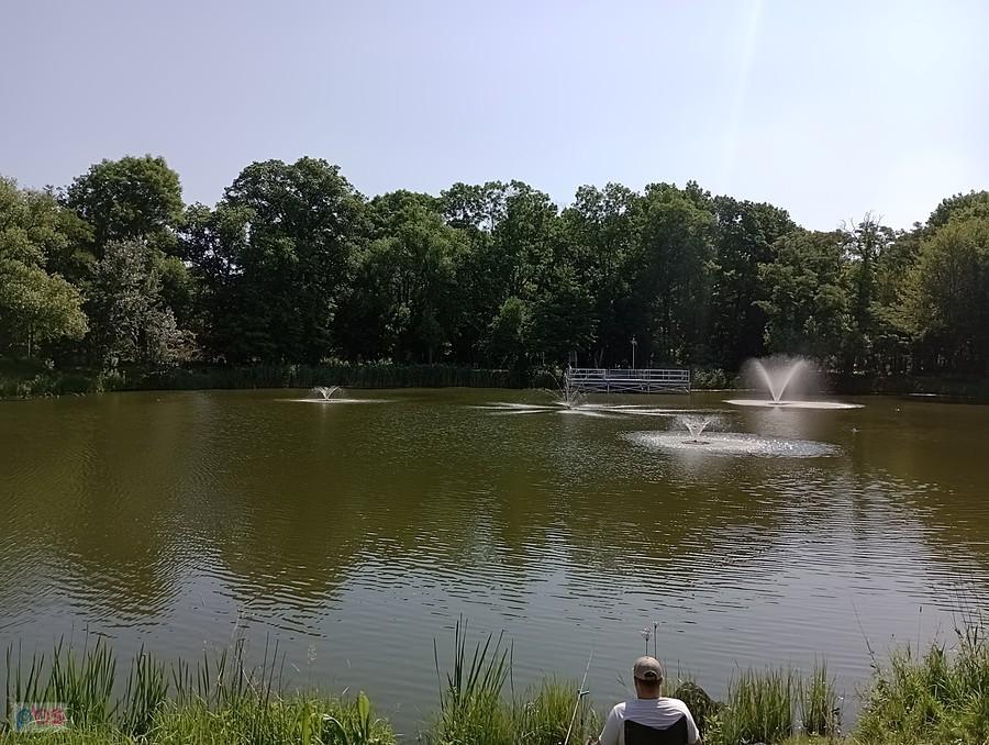 Staw w Ołtarzewie