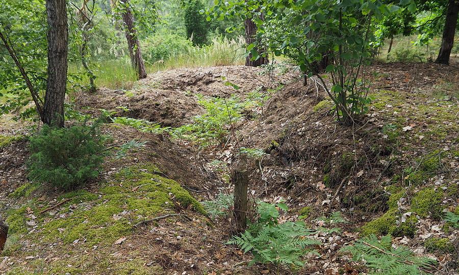 Zachowane nad zalewem drugo-wojenne okopy