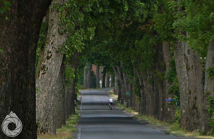 tunel leśny na Bobolice