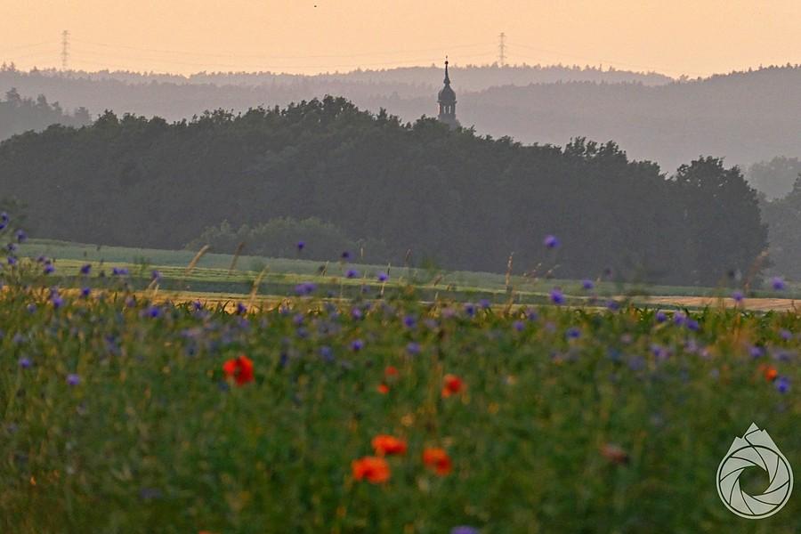 kościółek proboszczowicki zza maków
