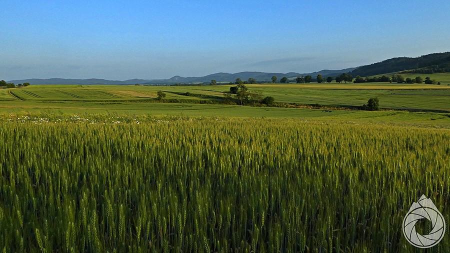 okolice Sokołowca, pola i pola i troche gór