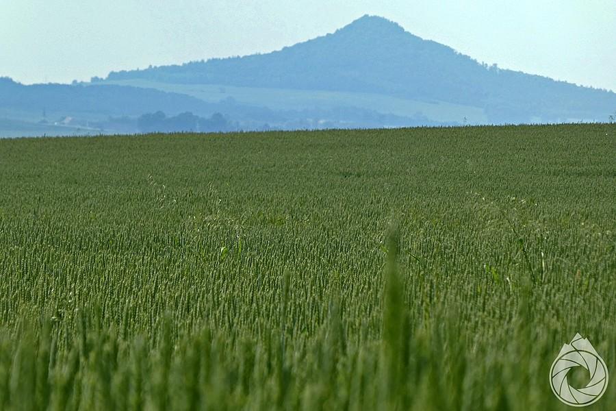 z daleka wybija się znów Ostrzyca