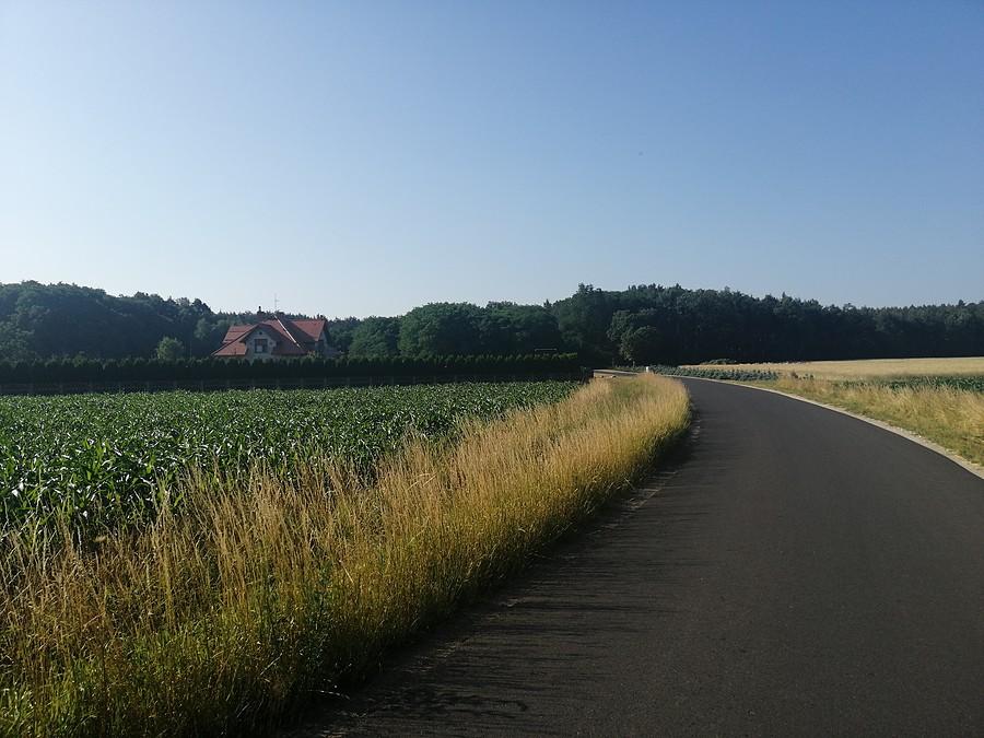 Posiadłość na uboczu w Jankowej.